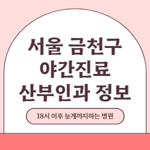 서울 금천구 야간진료 산부인과 병원 (18시 이후 늦게까지하는 병원)