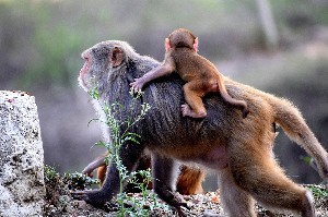 1월 7일 띠별 운세, 하루의 리듬을 점검하는 차분한 흐름
