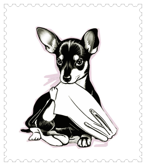 자그마한 테리어