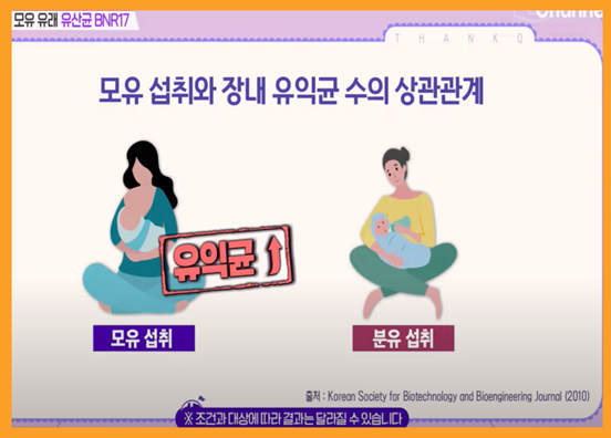비엔알 17유산균, bnr17 유산균, 비앤날씬 유산균