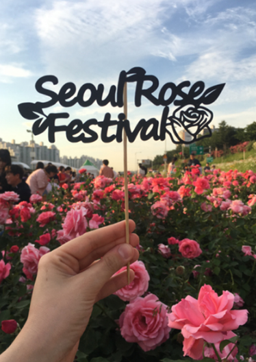 울 중랑천 장미축제 장미터널 풍경