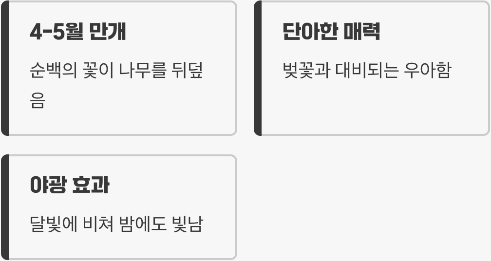 봄: 눈부신 순백의 향연
