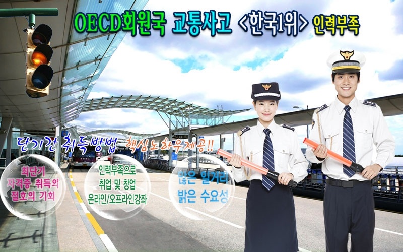 도로교통사고-감정사