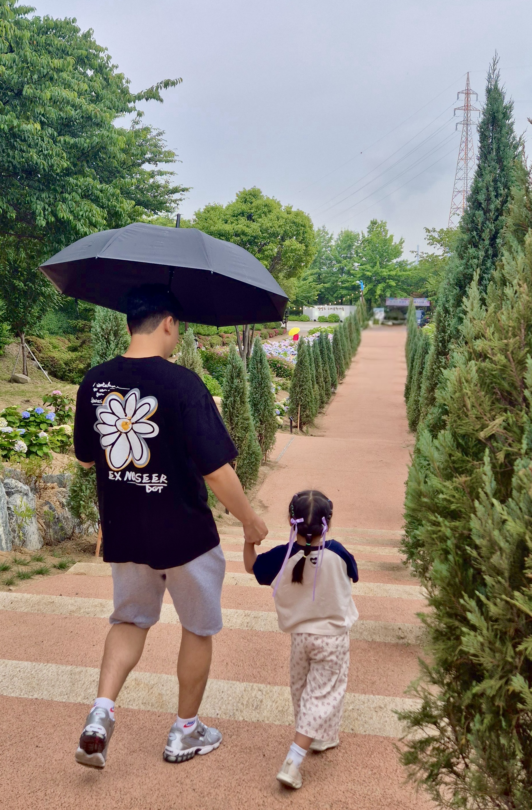 #장생포수국축제
#울산수국축제
#고래문화마을
#울산장생포가볼만한곳
#장생포포토존
#고래광장수국길
#오색수국정원
#수국축제개화상황2025
#수국사랑상품권사용처
#울산6월축제
#장생포여행코스
#울산플리마켓체험
#울산데이트코스
#울산여행추천
#장생포주차정보
#수국포토존
#울산브릿지