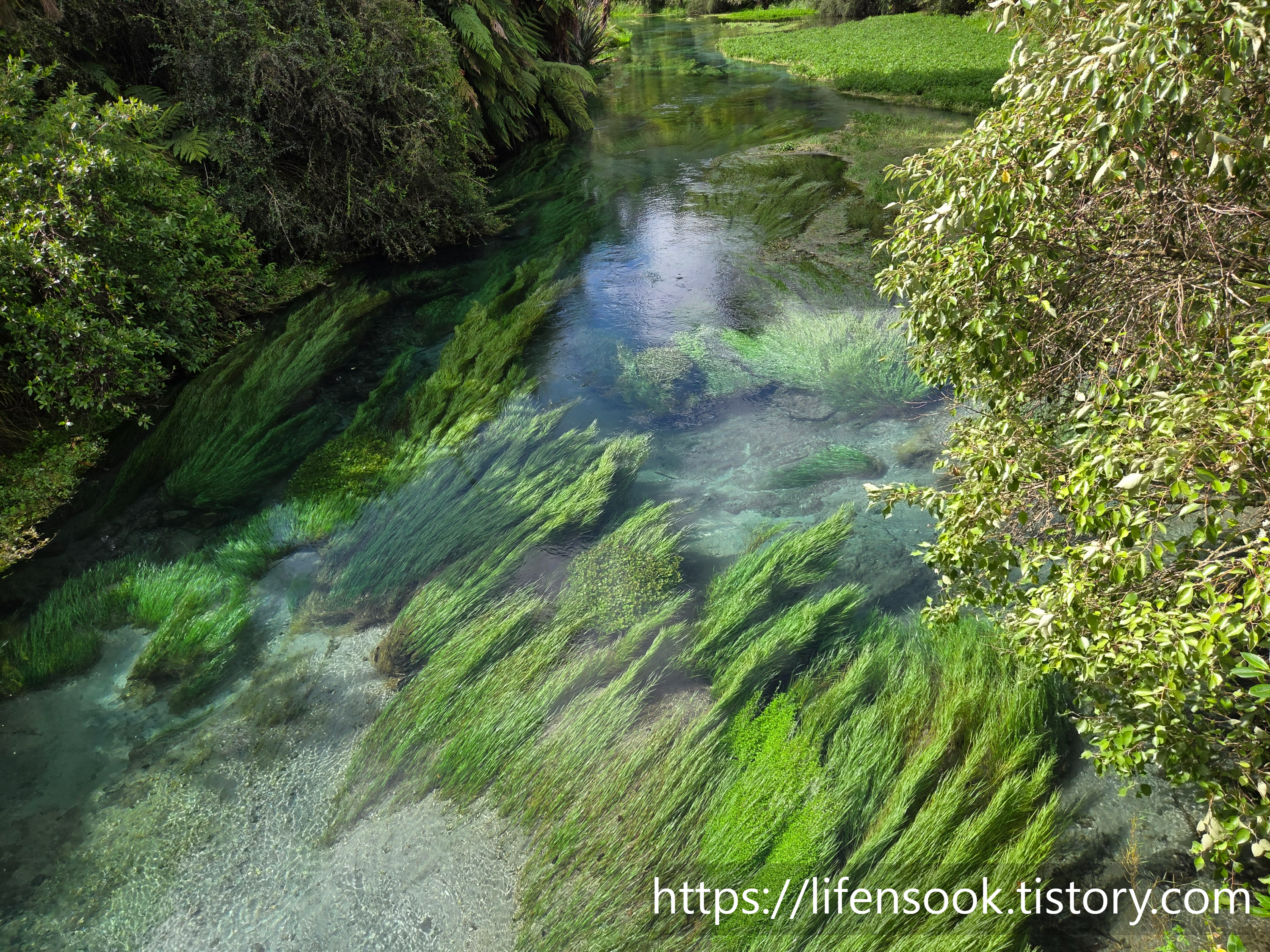 블루 스프링 워크웨이 5