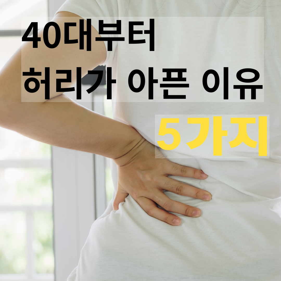 40대 허리 통증 이유 5가지