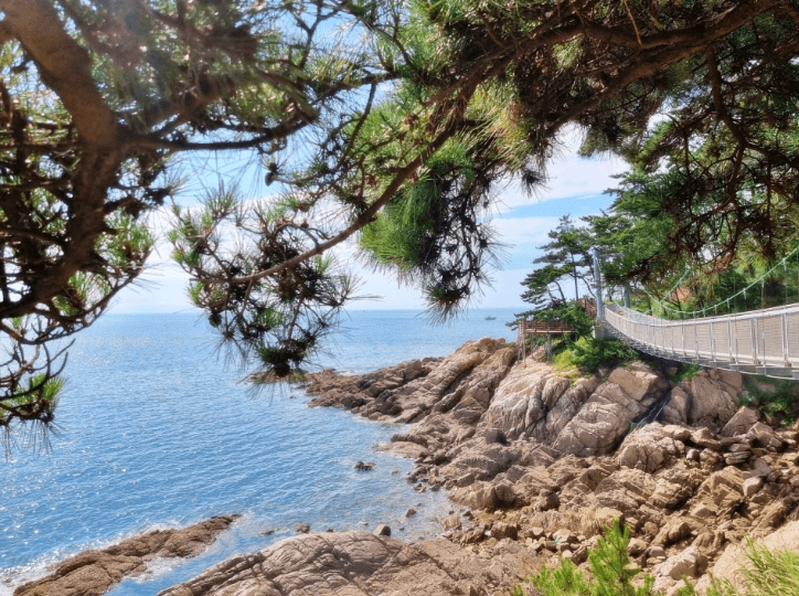 물닭섬-산책로