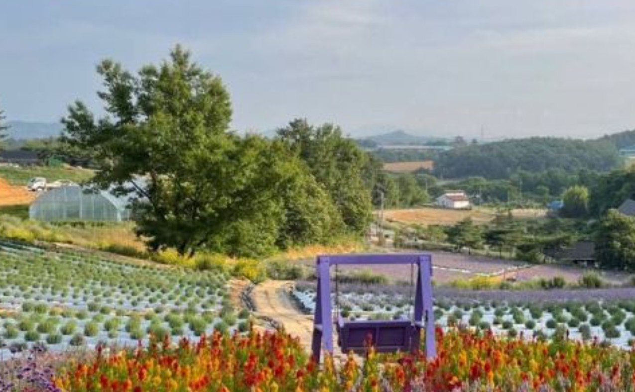 봄꽃 축제 갈 때 꼭 챙겨야 할 필수템