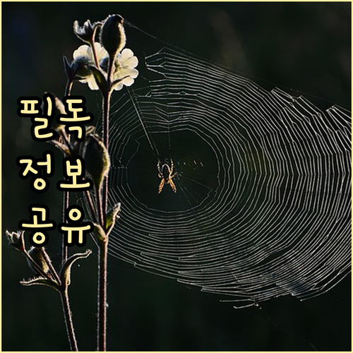 상생소비지원금 교통비 실적 제외 K-..