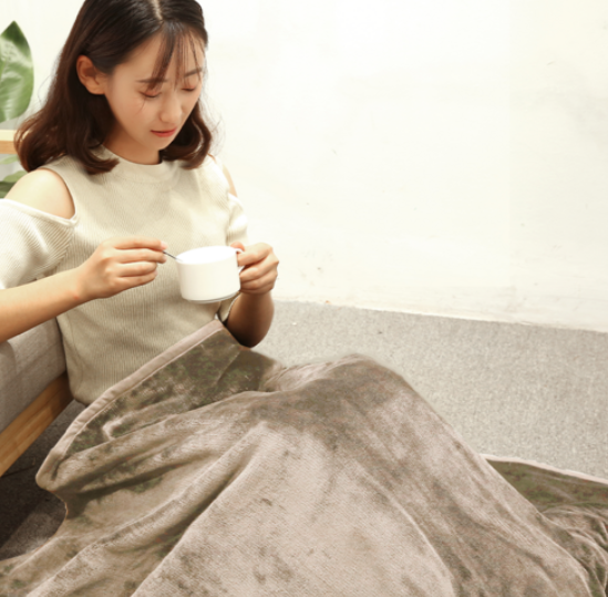 RichMagic 양면 극세사 전기요 온도조절 타이머 기능 물세탁 가능