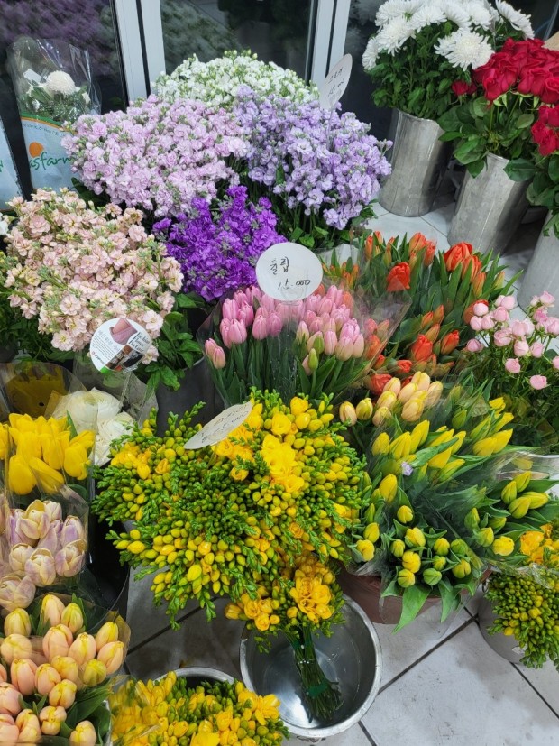 생생정보 : 연 매출 8억! 성공의 꽃을 피우다 - 백송이 전문점