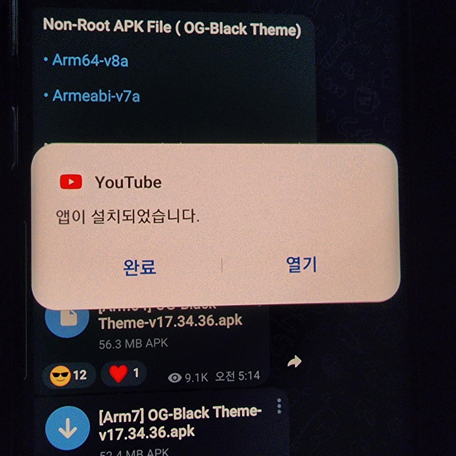 유튜브 리밴스드 설치방법