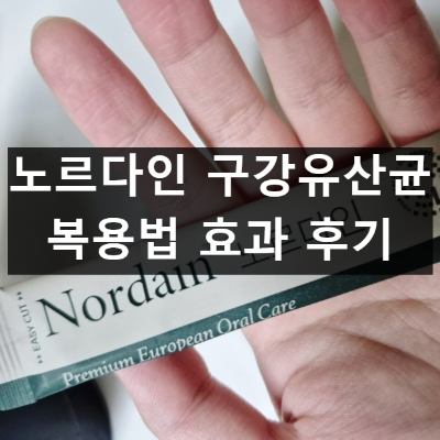 노르다인 구강유산균