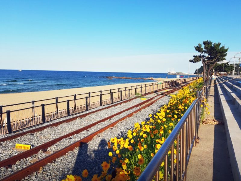 정동진레일바이크