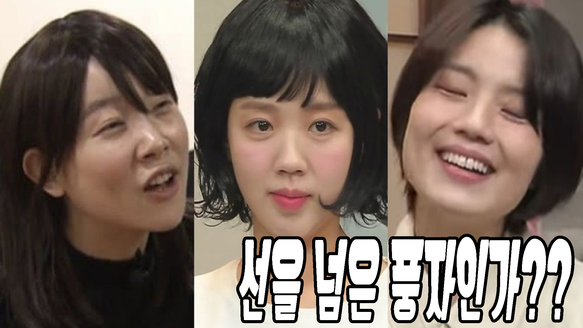 선을 넘은 풍자?