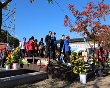 진안홍삼축제_20