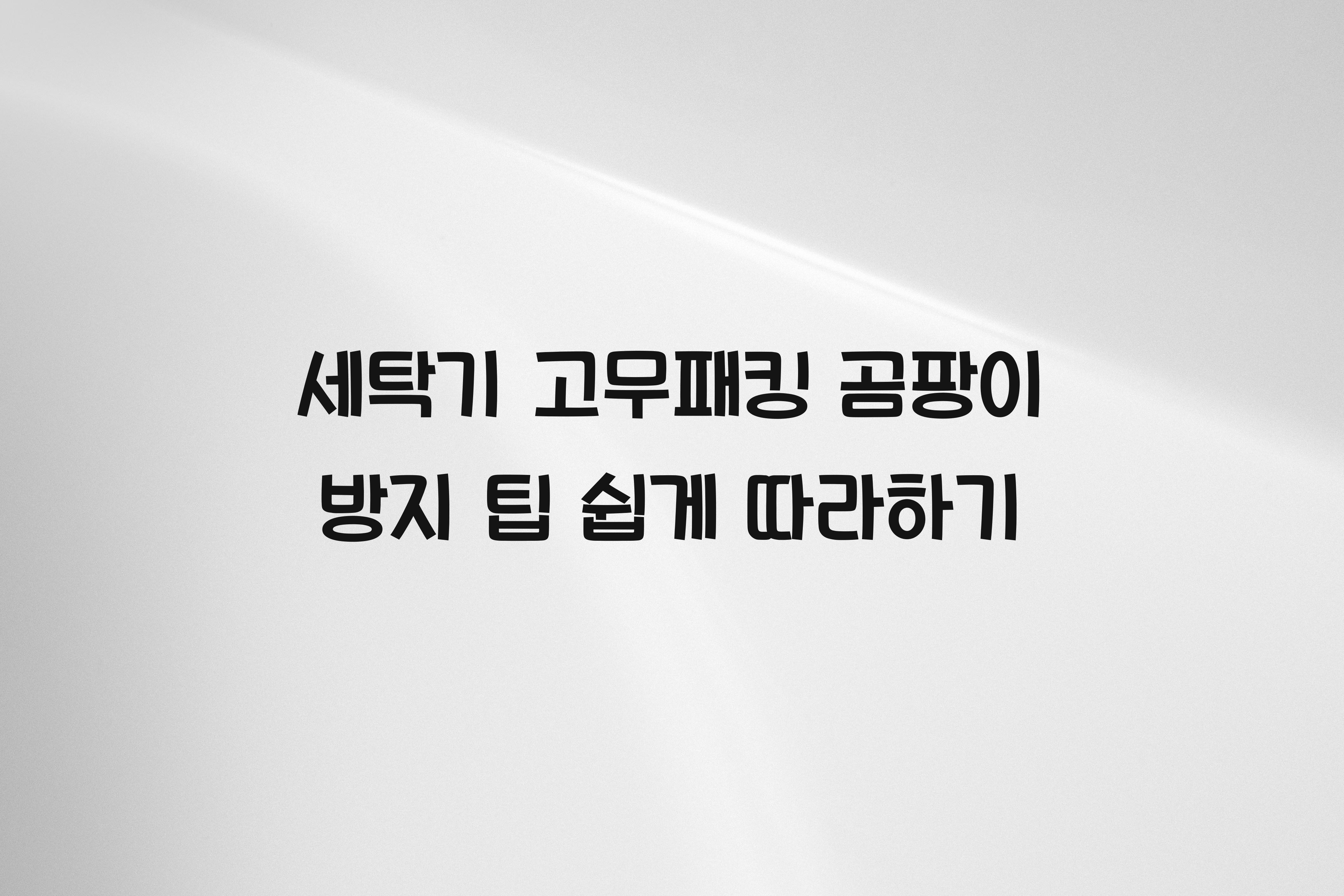 세탁기 고무패킹 곰팡이 방지 팁