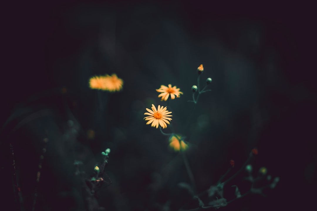 Hope Account