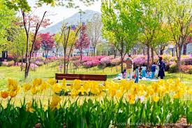 2025 서울 공원 프로그램