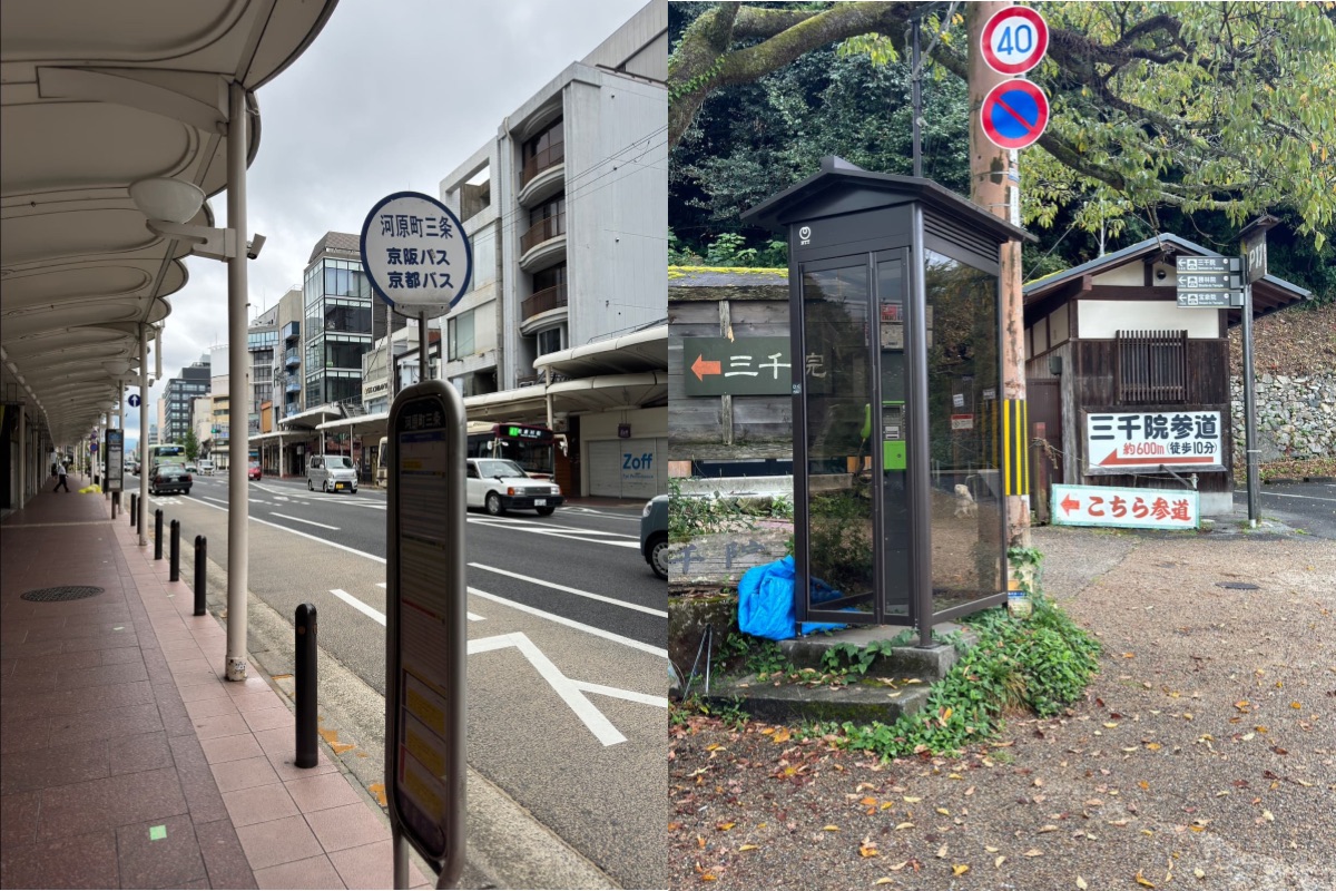 교토 오하라 산젠인 ❘ 계절마다 다른 풍경을 품은 천년 고찰