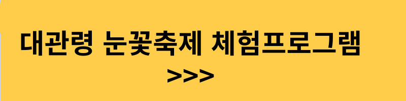 대관령눈꽃축제