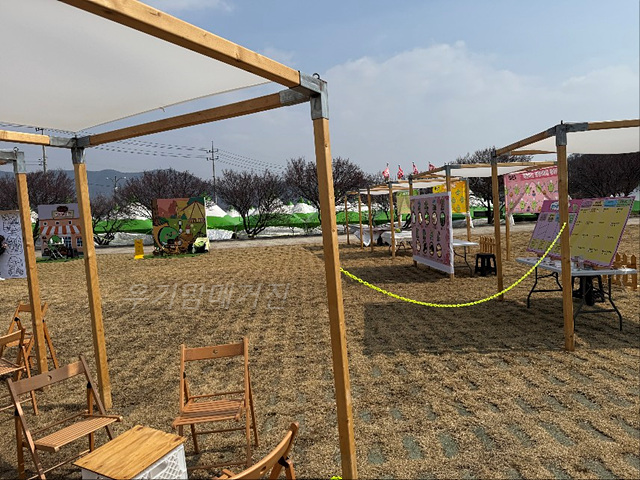 광양매화축제 기간 입장료 개화상황 프로그램 주차장 셔틀버스 25년3월8일실시간사진