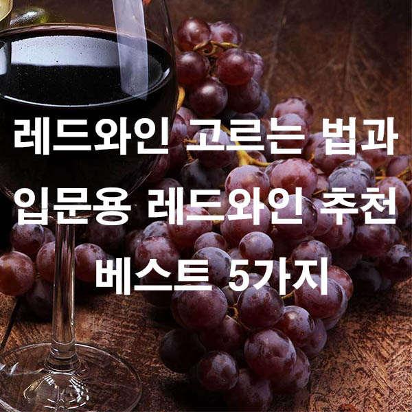 레드와인 고르는 법과 입문용 레드와인 추천 베스트 5가지