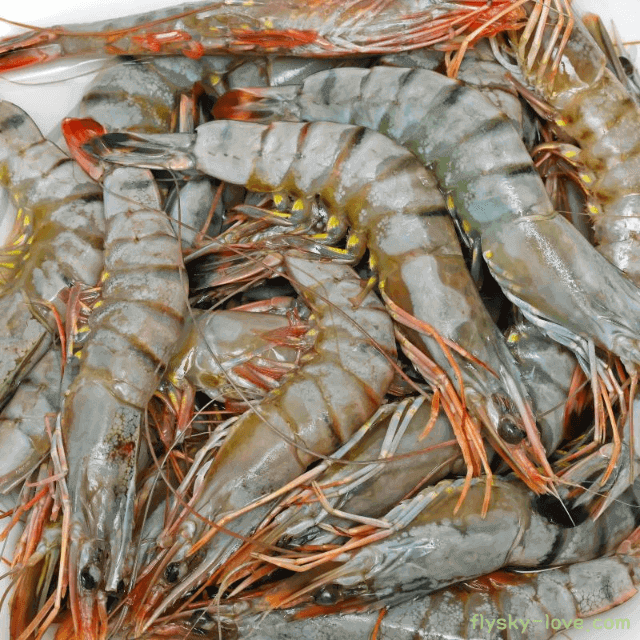 칼슘과 타우린이 풍부한 제철 수산물 새우