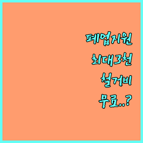 사업 정리 컨설팅 및 점포 철거비 지..