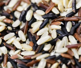 비타민E가 많은 음식