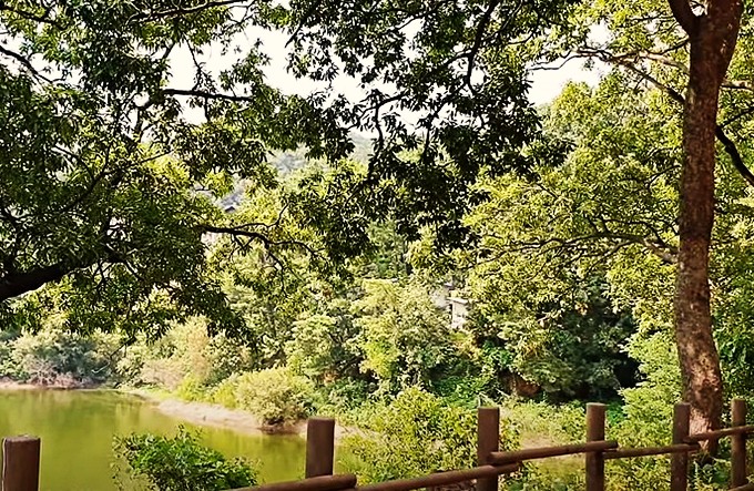 호수