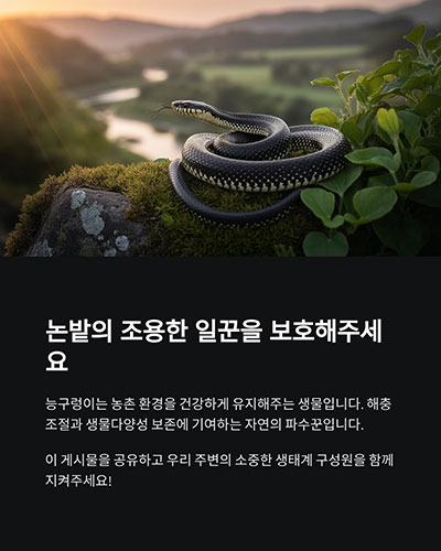 논밭의 조용한 일꾼