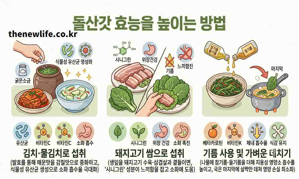 돌산갓 효능 높이는 요리