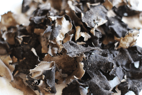 석이버섯 효능01