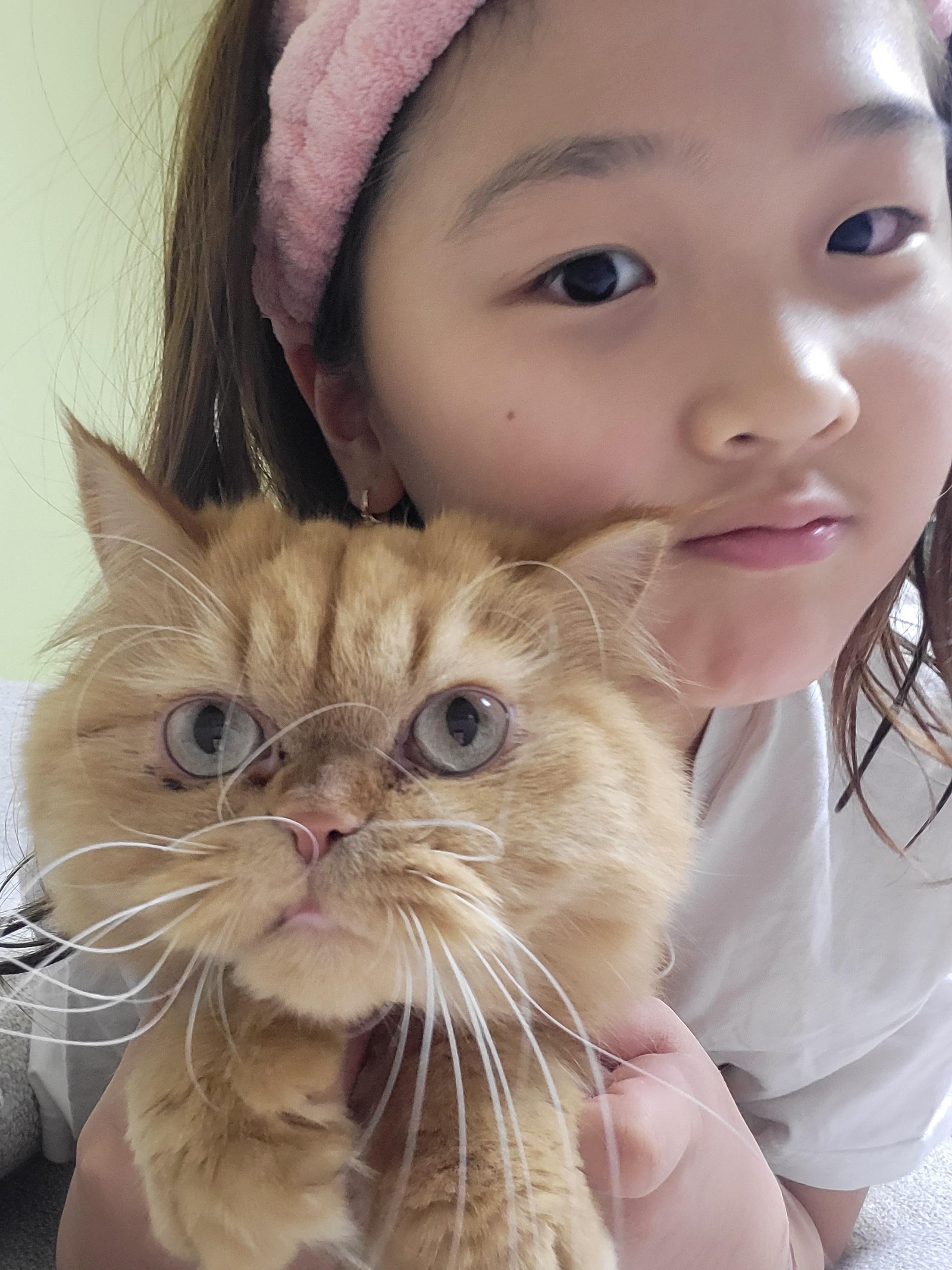 아이와 반려묘