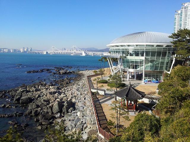 부산 동백섬