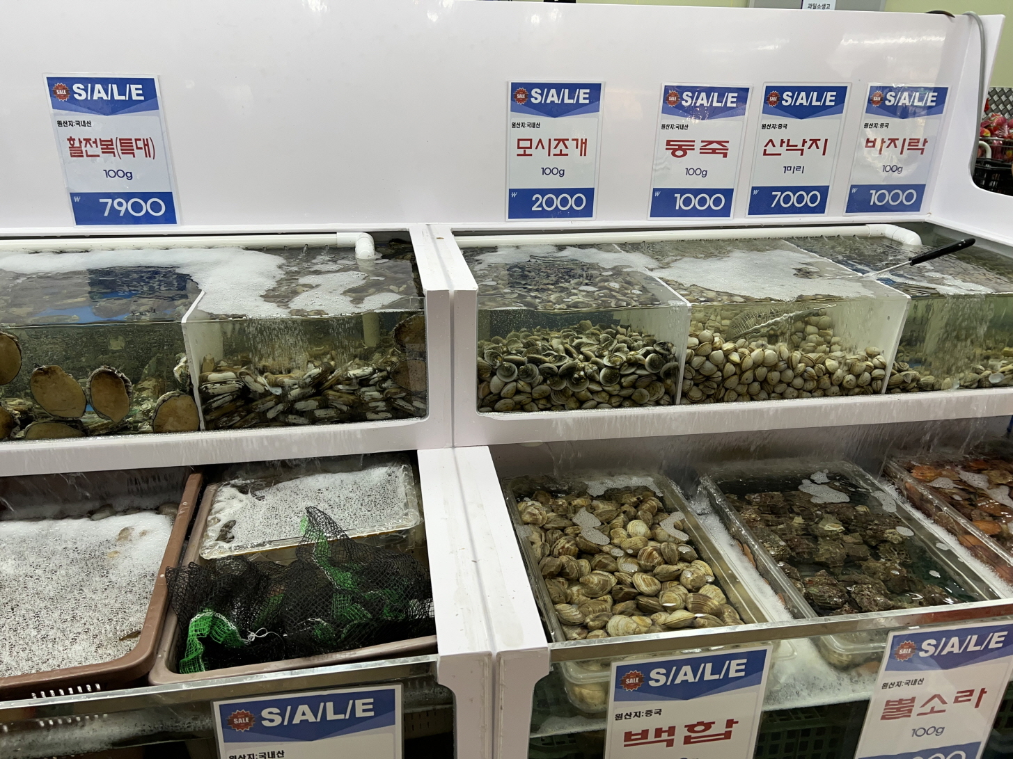 마켓세종