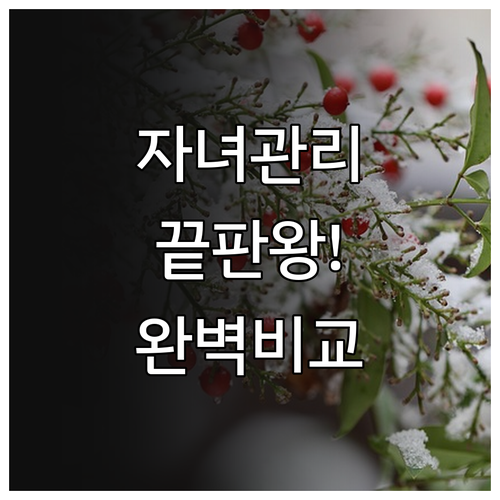 구글 패밀리 링크와 Life360 특..