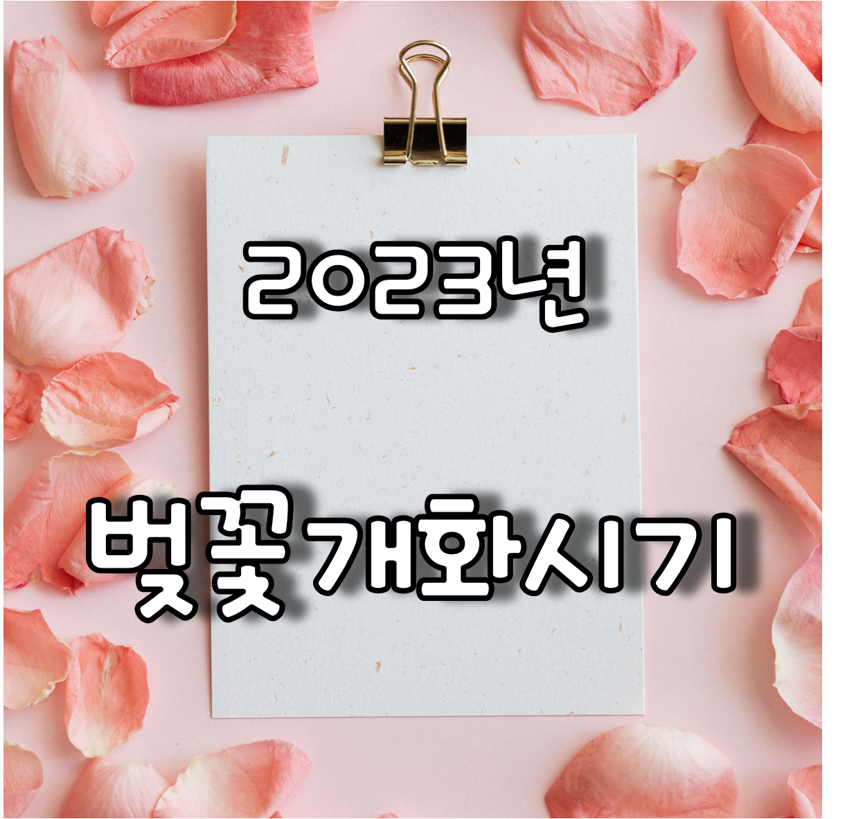 벚꽃잎