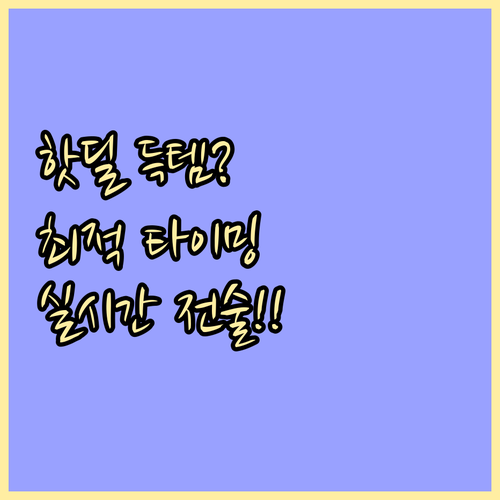 블랙프라이데이 핫딜 확보 실시간 대응..