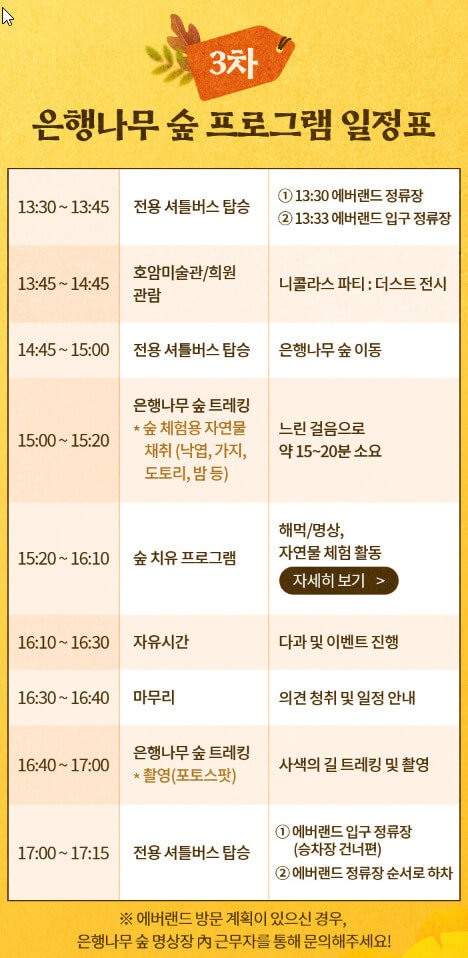 은행나무 숲