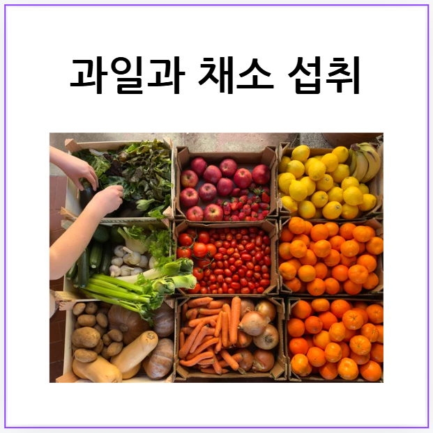 입동 뜻 2024년 입동 날짜 24절기