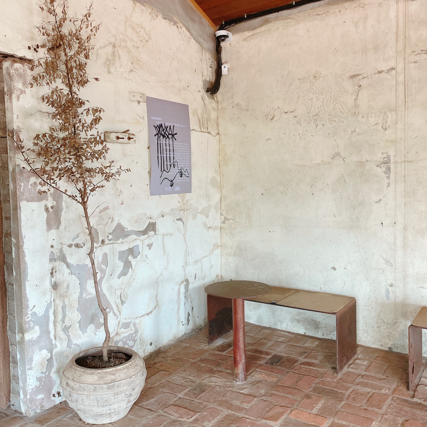 제주 서귀포 대정 서림연대 인스밀 곡물창고 개조카페 in's mill 보리개역 보리 청보리 제주 특산물