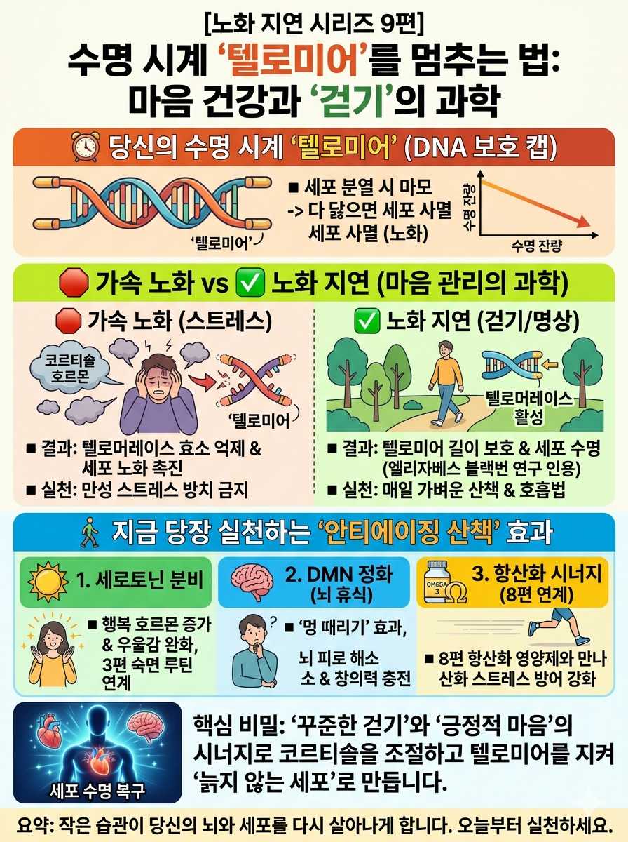 수명 시계 텔로미어를 멈추는 법 : 마음 건강과 걷기의 과학 인포그래픽