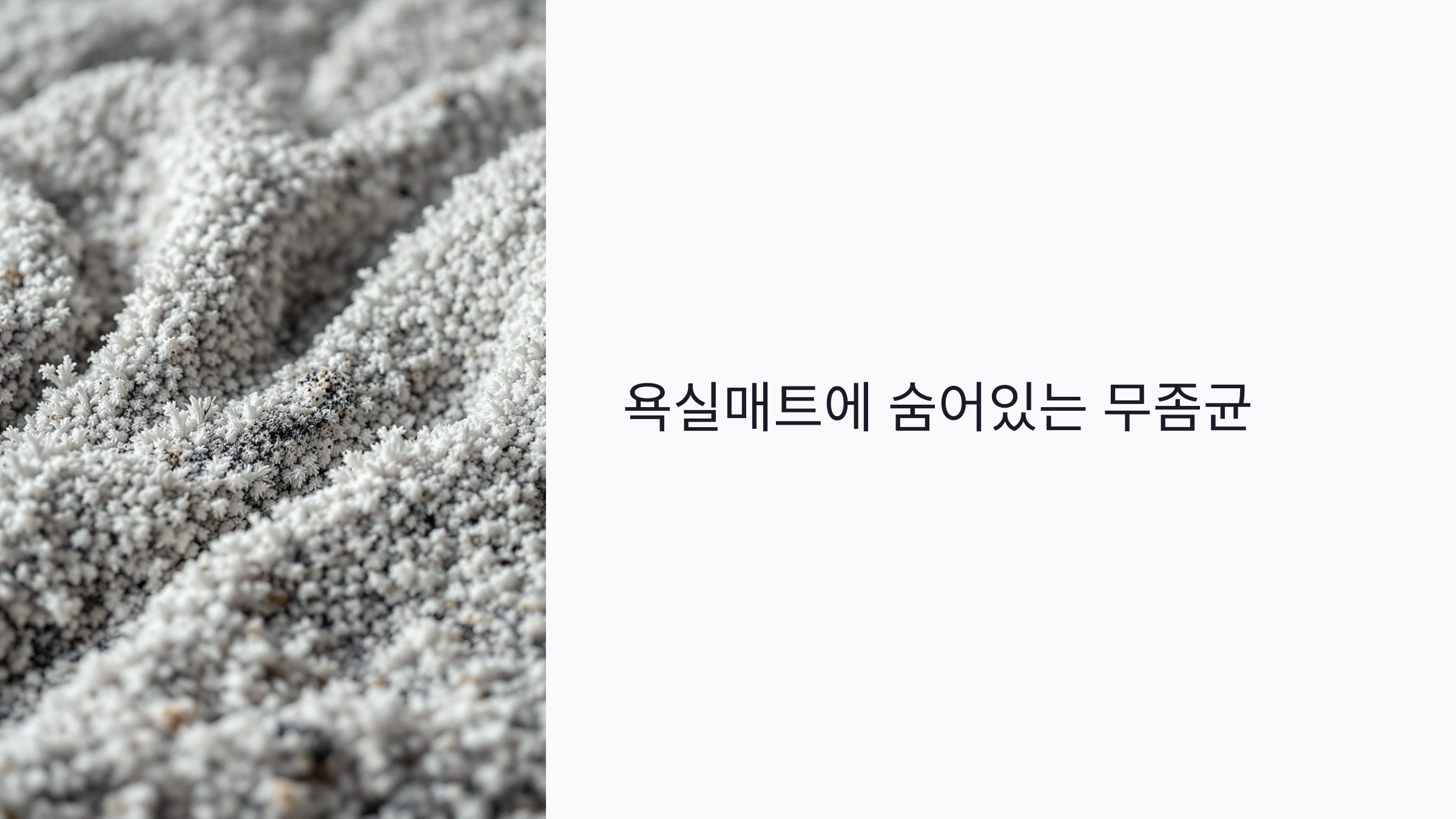 무좀균은 욕실매트 속에서도 생존한다