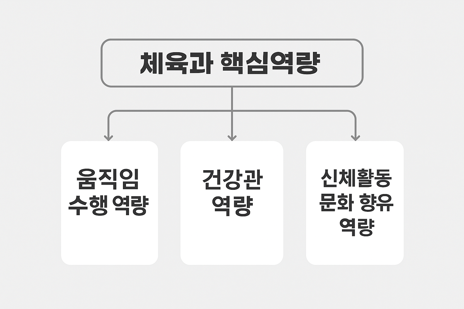 체육과 교육과정 성취기준 구조도