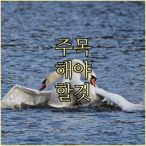 강아지 고양이 등록 방법 완벽 비교: