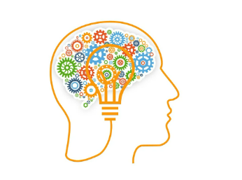 감정 조절과 뇌과학: 감정이 어떻게 형성되고 조절되는지 신경과학적 관점에서 설명