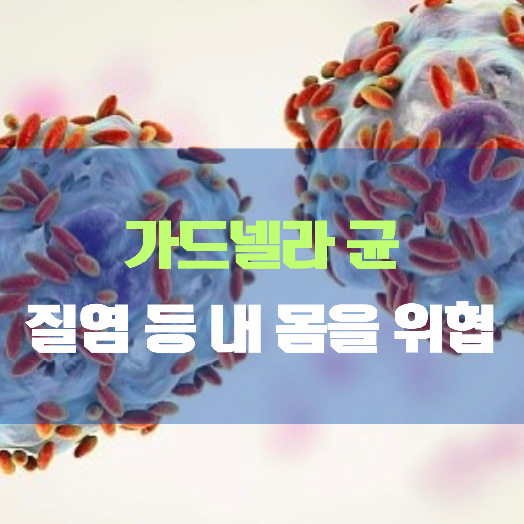 가드넬라 균, 질염 등 내 몸의 건강을 위협하는 미생물