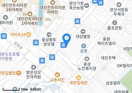 경상남도 양산시 삼호동 일요일 진료 휴일 문 여는 병원